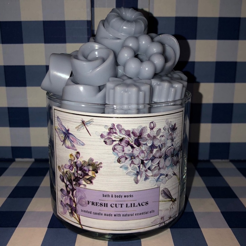Bath and Body Works Wax Melts